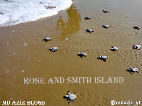 Rose and Smith Island